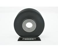 FEBEST TDS-UZJ100 Poulie, alternateur