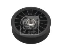 FEBI BILSTEIN 17074 Poulie, tendeur de courroie d'accessoire