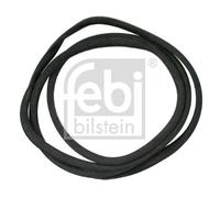 1x Joint d'étanchéité, pare-brise FEBI BILSTEIN 02789 convient pour