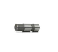 FEBI BILSTEIN 05619 Tendeur, chaîne de distribution