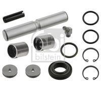 FEBI BILSTEIN 10062 Kit d'assemblage, pivot de fusée d'essieu pour MERCEDES-BENZ