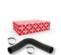 FEBI BILSTEIN 101251 Durite de refroidissement