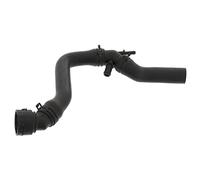 Febi bilstein 101350 Réfrigérants moteur