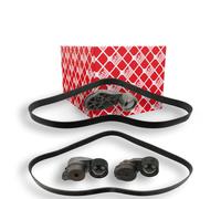 FEBI BILSTEIN 101431 Jeu de courroies trapézoïdales à nervures