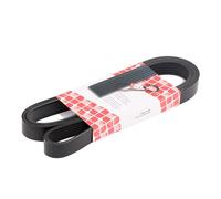 FEBI BILSTEIN 102310 Courroie Poly-V