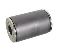FEBI BILSTEIN 105890 Coussinet de palier, ressort à lames