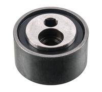 FEBI BILSTEIN 15002 Poulie, tendeur de courroie d'accessoire