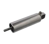 Febi bilstein 17024 Cylindre pneumatique
