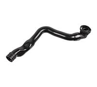Tuyau, ventilation de carter-moteur FEBI BILSTEIN 170314