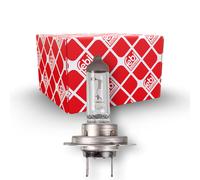 FEBI BILSTEIN 173287 Ampoule de phare