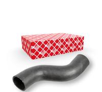 FEBI BILSTEIN 173381 Durite de refroidissement