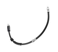 Ferdinand Bilstein Flexible de frein 174961