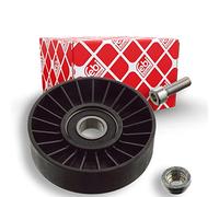 Febi bilstein 17544 Poulie renvoi/transmission, courroie trapézoïdale à nervures