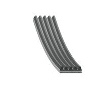FEBI BILSTEIN 176318 Courroie Poly-V