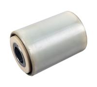 FEBI BILSTEIN 177053 Coussinet de palier, ressort à lames