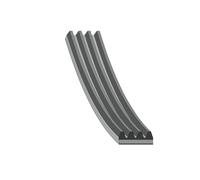 FEBI BILSTEIN 178934 Courroie Poly-V