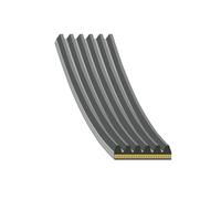 FEBI BILSTEIN 181283 Courroie Poly-V