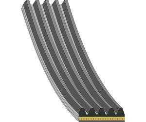 FEBI BILSTEIN 181286 Courroie Poly-V
