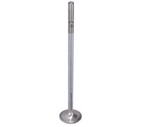 FEBI BILSTEIN 183197 Soupape d'admission