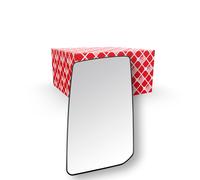 FEBI BILSTEIN 183798 Verre de rétroviseur, rétroviseur extérieur