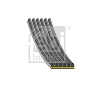 FEBI BILSTEIN Courroie trapézoïdale à nervures 185841 pour Audi 1x