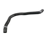 FEBI BILSTEIN 188206 Durite de refroidissement