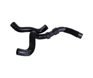 FEBI BILSTEIN 193733 Durite de refroidissement