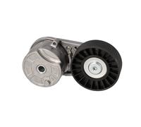 FEBI BILSTEIN 194621 Galet tendeur de courroie d'accessoire