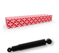 FEBI BILSTEIN 20489 Amortisseur