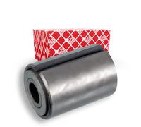 FEBI BILSTEIN 24443 Suspension, ressort à lames
