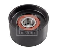 FEBI BILSTEIN 27169 Poulie renvoi/transmission, courroie trapézoïdale à nervures