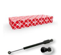 FEBI BILSTEIN Amortisseur de direction 27613