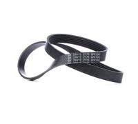 FEBI BILSTEIN 28915 Courroie Poly-V