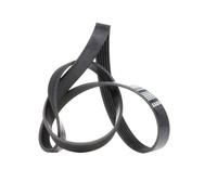 FEBI BILSTEIN 28927 Courroie Poly-V