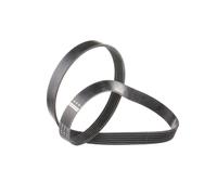 FEBI BILSTEIN 28928 Courroie Poly-V