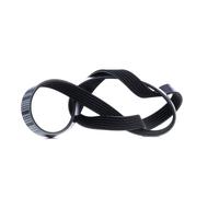 FEBI BILSTEIN 28933 Courroie Poly-V