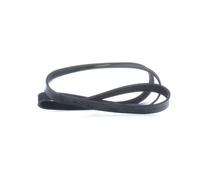 FEBI BILSTEIN 28959 Courroie Poly-V