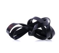 FEBI BILSTEIN 29007 Courroie Poly-V