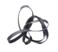 FEBI BILSTEIN 29014 Courroie Poly-V