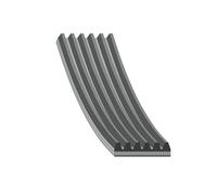 FEBI BILSTEIN 29018 Courroie Poly-V