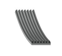 FEBI BILSTEIN 29032 Courroie Poly-V