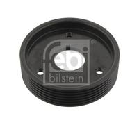 FEBI BILSTEIN 29501 Poulie, pompe de direction assistée pour RENAULT