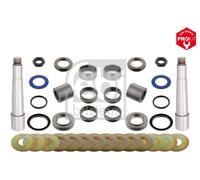 FEBI BILSTEIN 29720 Kit d'assemblage, pivot de fusée d'essieu pour DAF