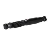 FEBI BILSTEIN 2x Amortisseur Amortisseur télescopique Pression d'huile Essieu arrière droit Essieu arrière gauche Kit amortisseur pour FIAT Scudo I Van (220) 194216