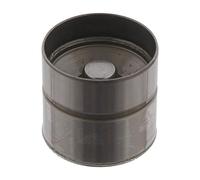 Ferdinand Bilstein Poussoir de soupape hydraulique 30031