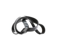 FEBI BILSTEIN 33021 Courroie Poly-V