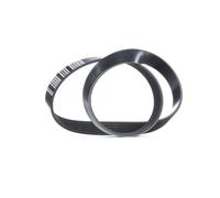 FEBI BILSTEIN 33026 Courroie Poly-V