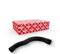 FEBI BILSTEIN 33875 Durite de refroidissement