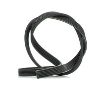 FEBI BILSTEIN 34462 Courroie Poly-V