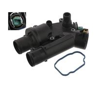 Febi bilstein 36037 Thermostat d'eau